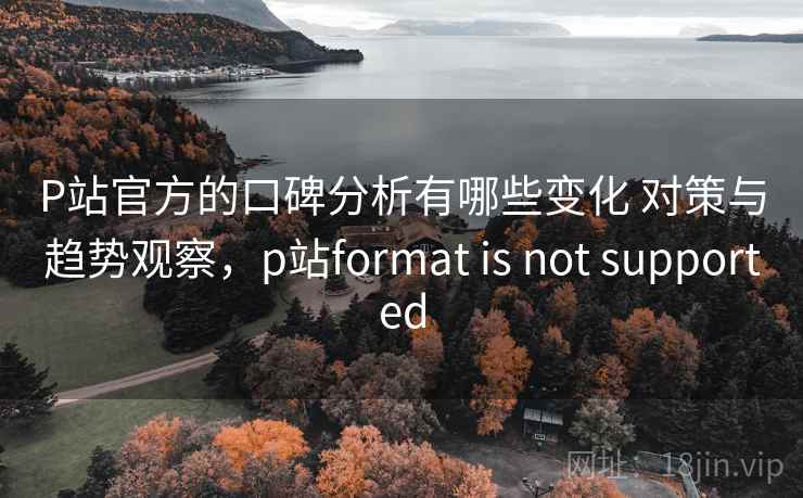 P站官方的口碑分析有哪些变化 对策与趋势观察，p站format is not supported