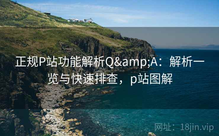 正规P站功能解析Q&A：解析一览与快速排查，p站图解
