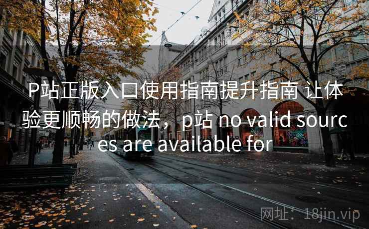 P站正版入口使用指南提升指南 让体验更顺畅的做法，p站 no valid sources are available for