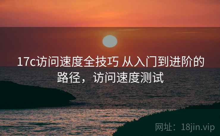 17c访问速度全技巧 从入门到进阶的路径，访问速度测试
