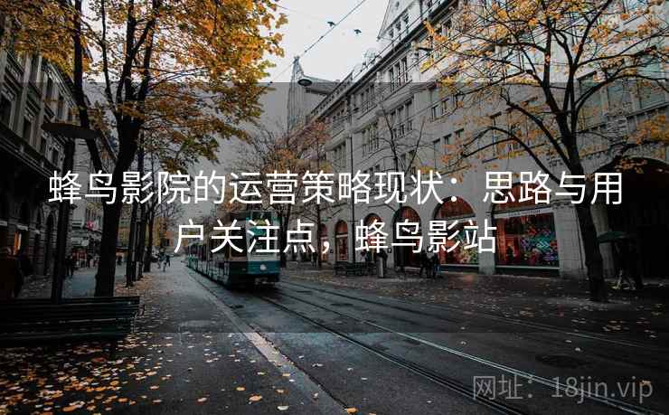 蜂鸟影院的运营策略现状：思路与用户关注点，蜂鸟影站