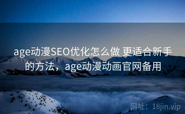 age动漫SEO优化怎么做 更适合新手的方法，age动漫动画官网备用