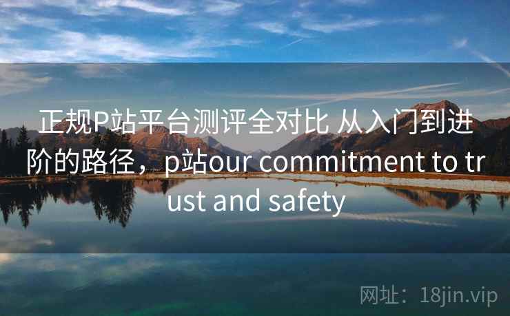 正规P站平台测评全对比 从入门到进阶的路径，p站our commitment to trust and safety
