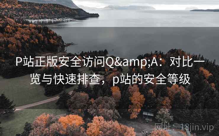 P站正版安全访问Q&A:对比一览与快速排查,p站的安全等级 P站正版安全访问Q&A:对比一览与快速排查,p站的安全等级
