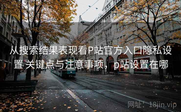 从搜索结果表现看P站官方入口隐私设置 关键点与注意事项，p站设置在哪