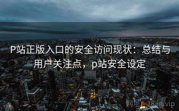 P站正版入口的安全访问现状：总结与用户关注点，p站安全设定