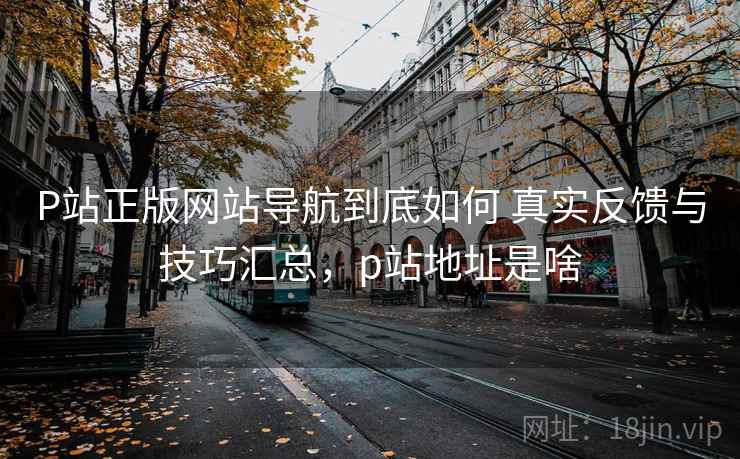 P站正版网站导航到底如何 真实反馈与技巧汇总，p站地址是啥
