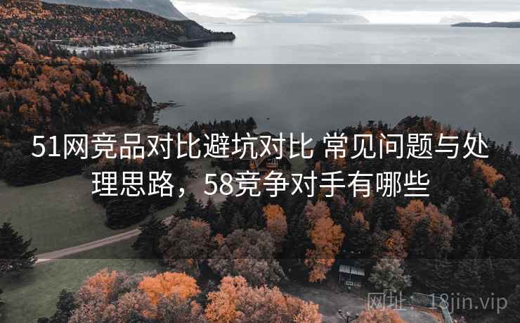 51网竞品对比避坑对比 常见问题与处理思路，58竞争对手有哪些