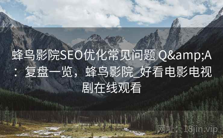 蜂鸟影院SEO优化常见问题 Q&A：复盘一览，蜂鸟影院_好看电影电视剧在线观看