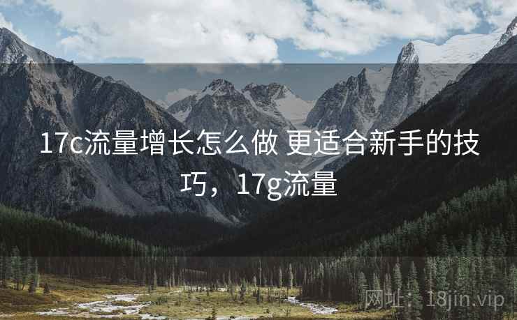 17c流量增长怎么做 更适合新手的技巧，17g流量