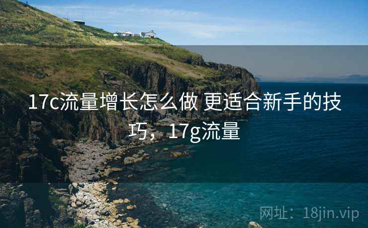 17c流量增长怎么做 更适合新手的技巧,17g流量 17c流量增长怎么做 更适合新手的技巧,17g流量