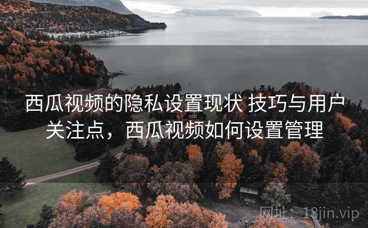 西瓜视频的隐私设置现状 技巧与用户关注点，西瓜视频如何设置管理