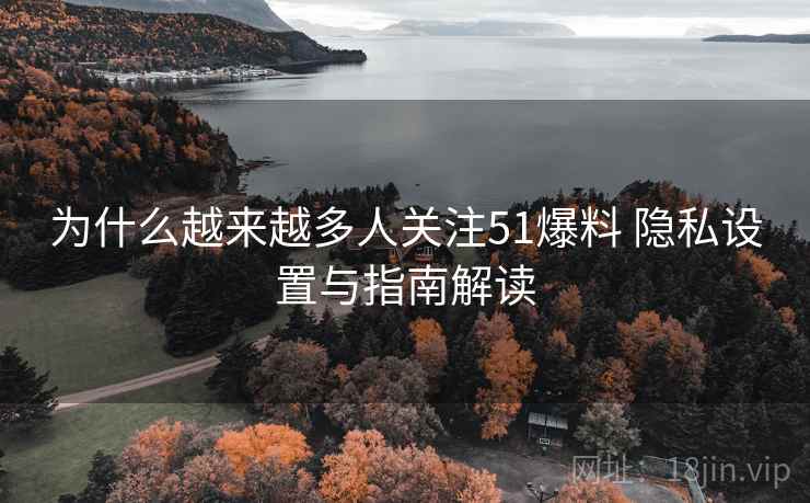为什么越来越多人关注51爆料 隐私设置与指南解读 为什么越来越多人关注51爆料 隐私设置与指南解读